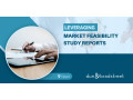 market-feasibility-study-report-small-0