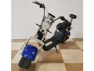 Citycoco Electric Scooter 4000W