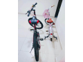 bicycle-for-sale-small-1