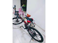 bicycle-for-sale-small-2