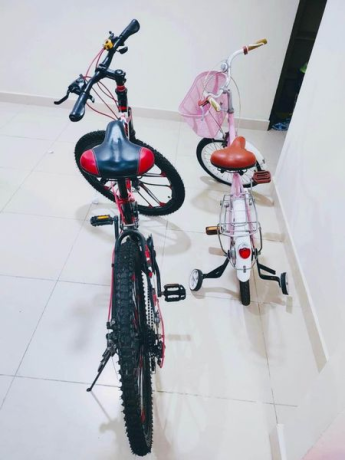 bicycle-for-sale-big-1