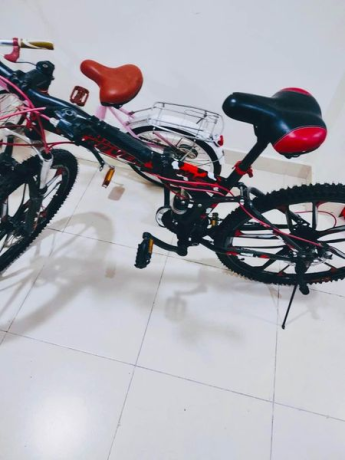 bicycle-for-sale-big-0