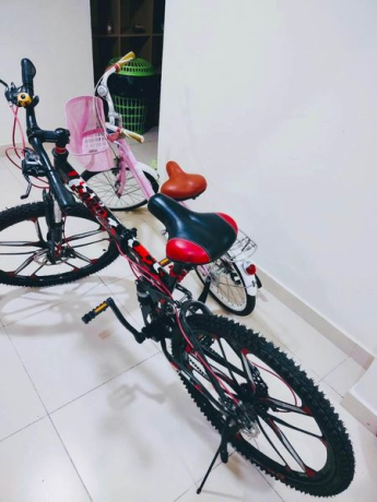 bicycle-for-sale-big-2