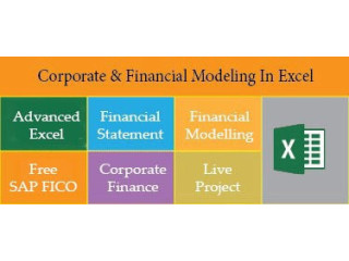 Financial Modelling Course in Delhi,110093