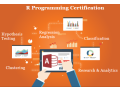 r-program-training-course-in-delhi-new-year-offer-2025-small-0