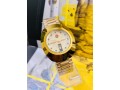 rado-diastar-nelum-dial-hongkong-made-watch-small-1