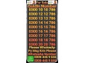 number-for-sale-0300-0000000-0300-1000000-0301-1111111-0300-1111111-0300-3333333-0300-4444444-0300-5-small-2