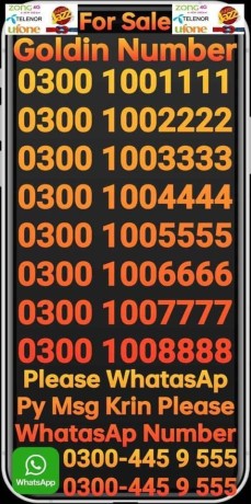 number-for-sale-0300-0000000-0300-1000000-0301-1111111-0300-1111111-0300-3333333-0300-4444444-0300-5-big-3