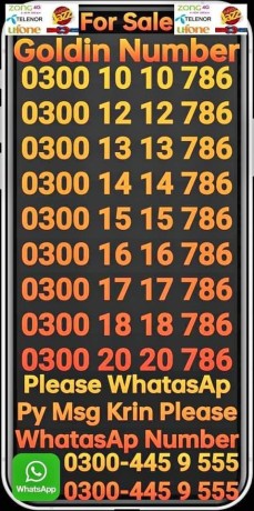 number-for-sale-0300-0000000-0300-1000000-0301-1111111-0300-1111111-0300-3333333-0300-4444444-0300-5-big-2