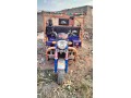200sy-sy-nyo-ayshya-lor-rksh-bray-frokht-small-2
