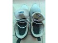 jogars-small-1