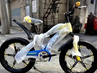 important-cycle-20inch