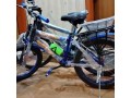 5-marla-furnished-house-small-3