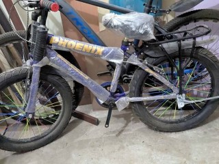 20inch-cycle-pakistani