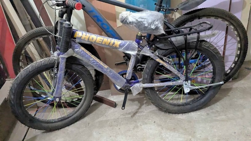 20inch-cycle-pakistani-big-0