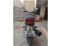 bike-sail-small-2