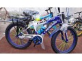 20-inch-bicycles-7-to-15-years-kids-delivery-service-available-in-lahore-city-warehouse-lahore-small-4