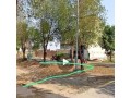 1-kanal-fully-furnished-house-for-rent-in-dha-phase-6-03202112527-small-4
