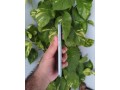 xiaomi-13t-pro-small-0