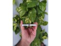 xiaomi-13t-pro-small-2