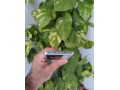 xiaomi-13t-pro-small-3