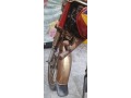cd70-honda-small-2
