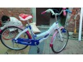 japanese-bicycles-whole-sale-price-new-models-warehouse-samanabad-nadeem-shaeed-road-lahore-0330-small-3